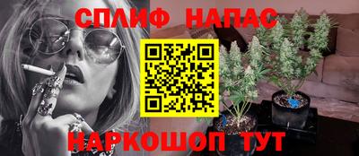 амф Сланцы